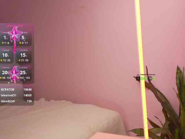 THE_BLACKcat webcam