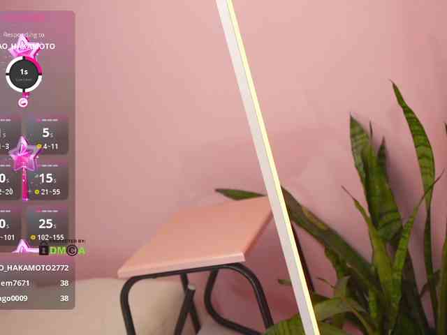 THE_BLACKcat webcam