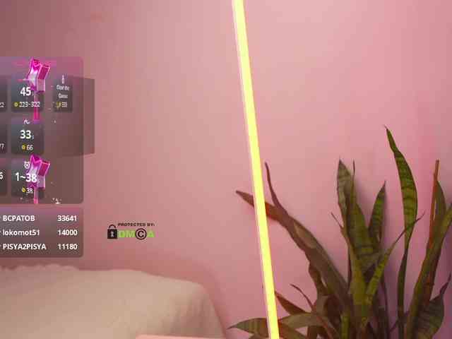 webcam Thecatt