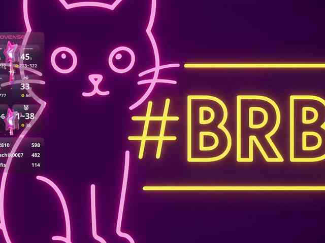 THE_BLACKcat webcam