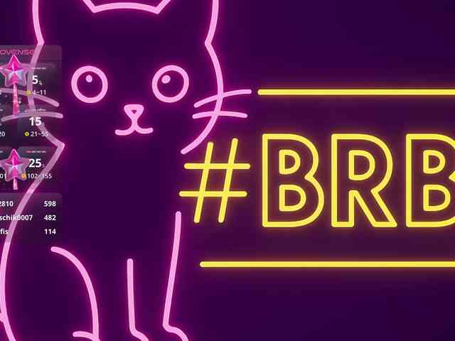 THE_BLACKcat webcam