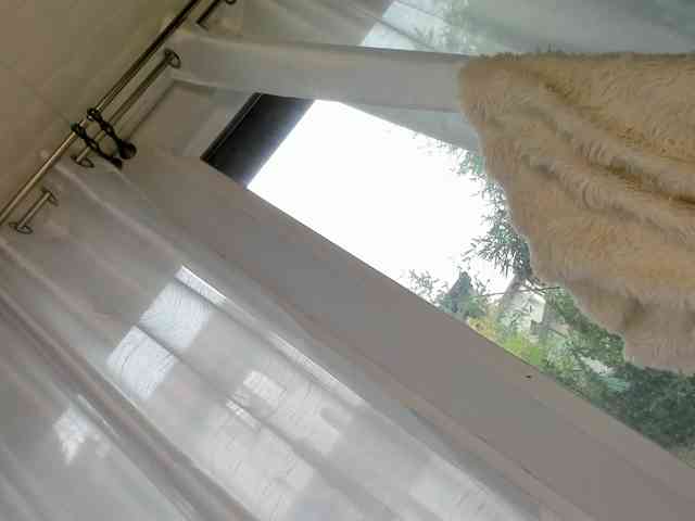 patriciakeys webcam