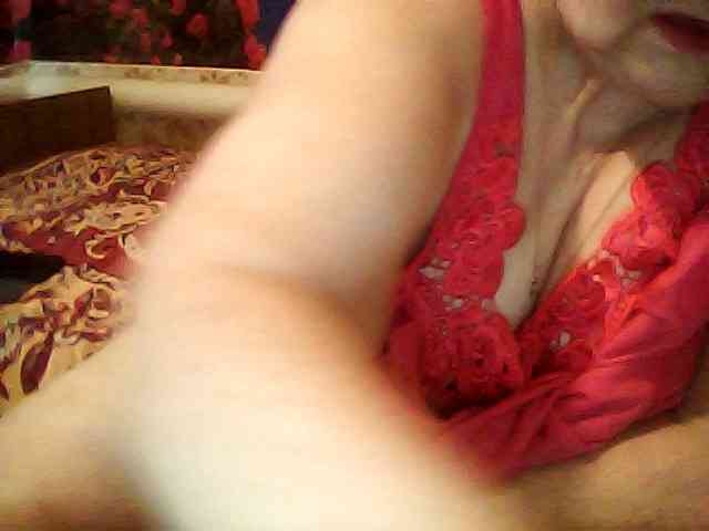modelfik webcam