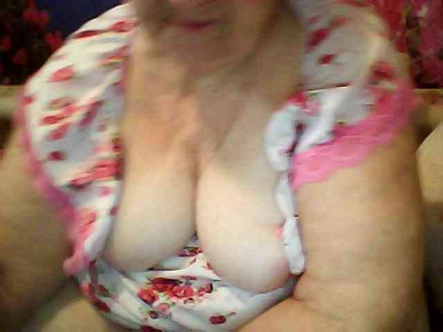 modelfik webcam