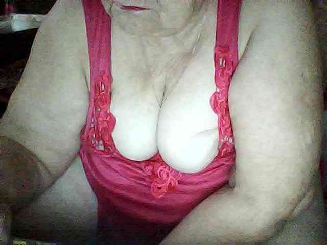 modelfik webcam
