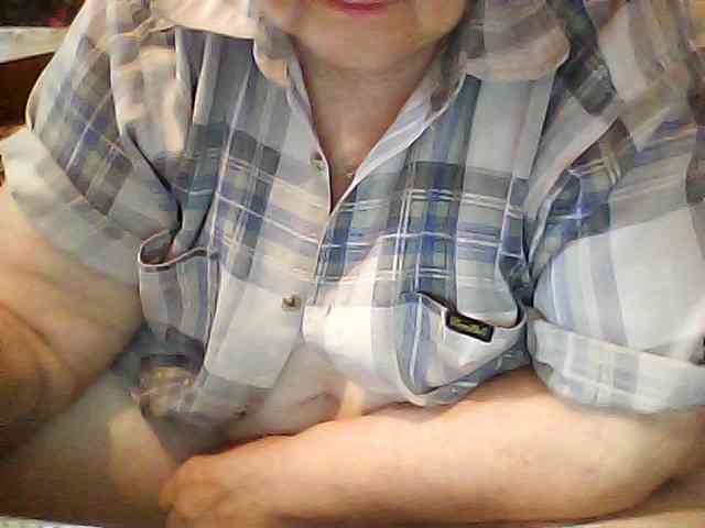modelfik webcam