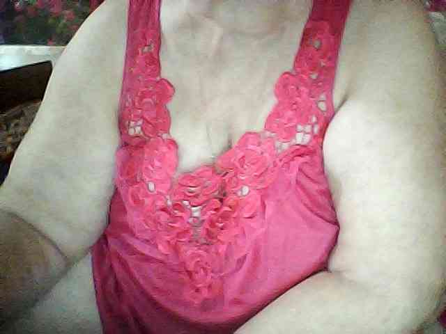 modelfik webcam