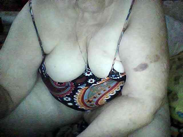 modelfik webcam