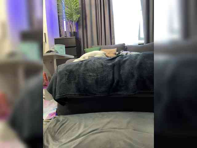 role play chatroom Vero19nika