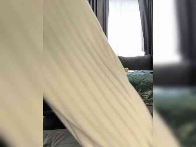Модель: MagicMelody
