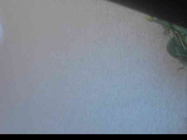 Gospozha-888 webcam