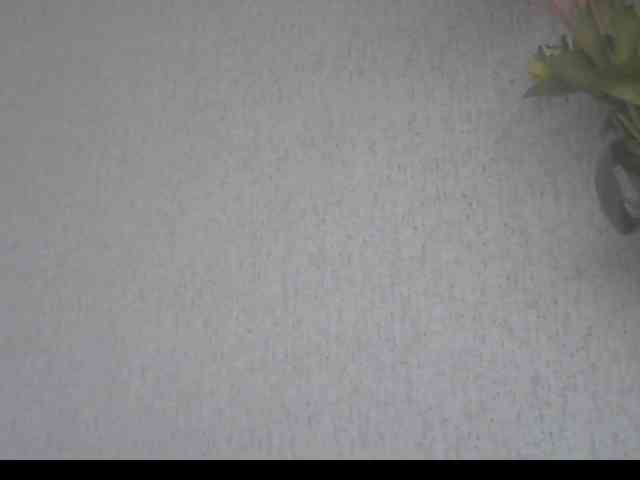 Gospozha-888 webcam