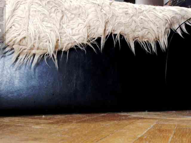 ImperatrizaDS webcam