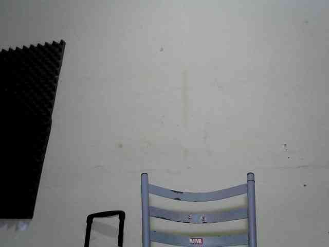 flordodeserto webcam