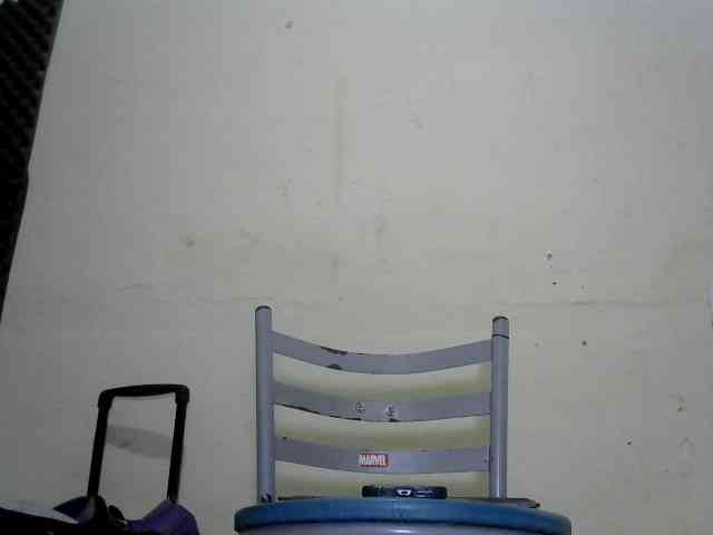 flordodeserto webcam