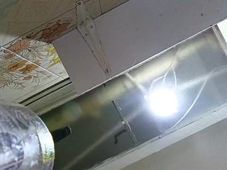 Cocochanell Porn Show