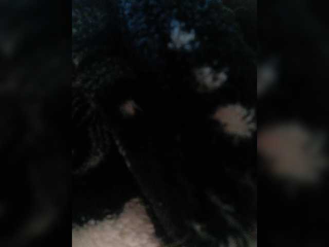 Duramapola from BongaCams is Freechat