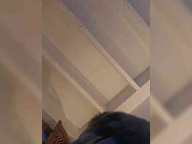 Cocochanell webcam