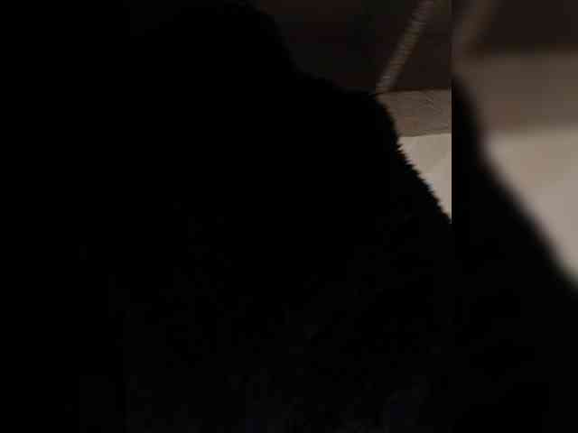 Duramapola Duramapola