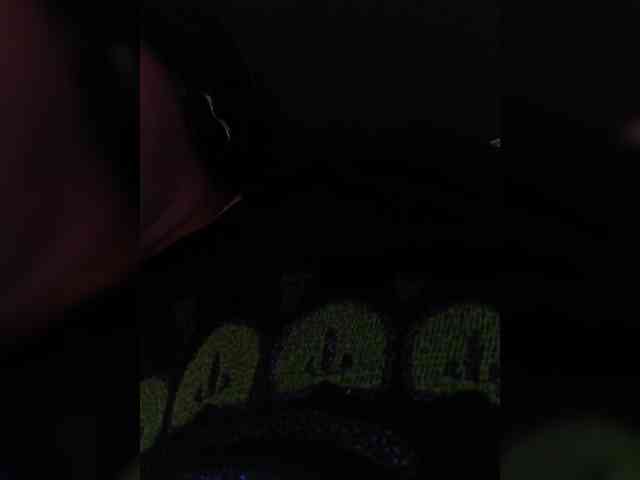 Cocochanell webcam