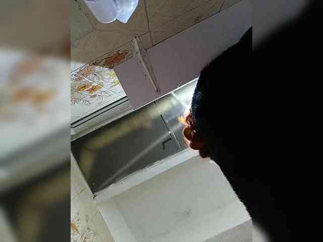 Duramapola Duramapola