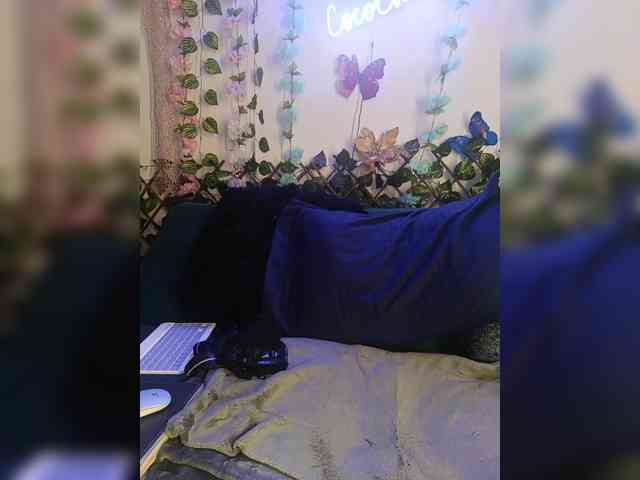 Cocochanell webcam
