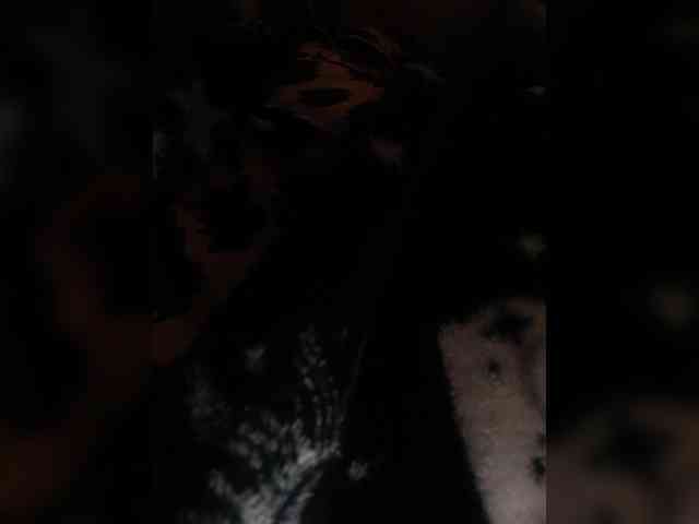 Duramapola Duramapola