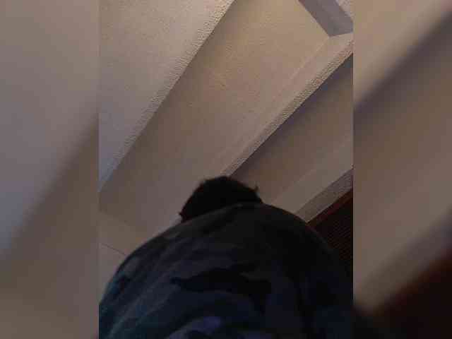 Cocochanell webcam