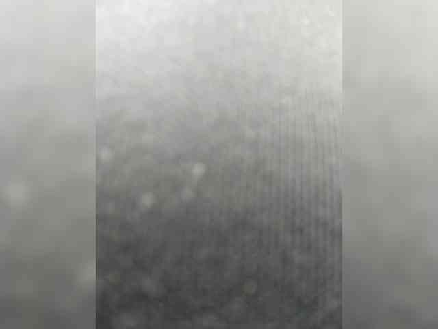 Cocochanell webcam