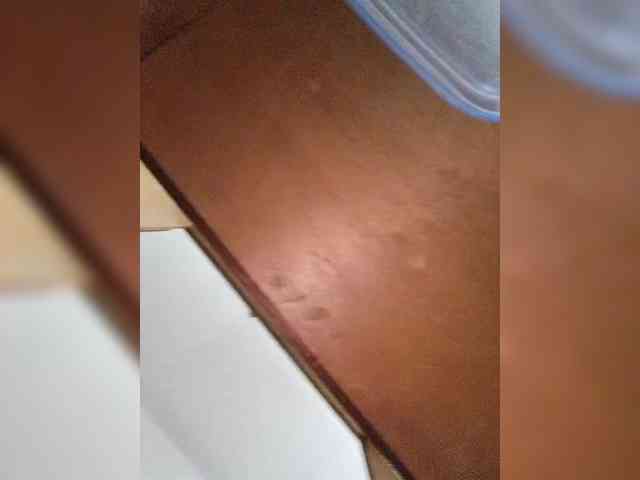 Cocochanell webcam