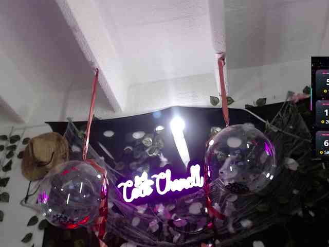 Cocochanell webcam