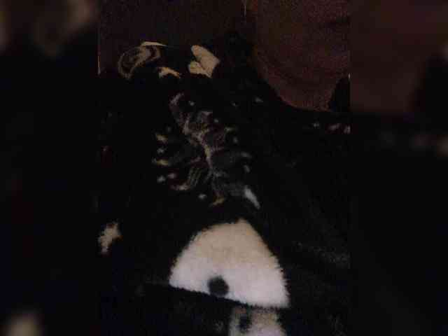 Duramapola Duramapola