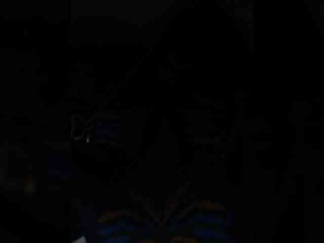 Cocochanell webcam
