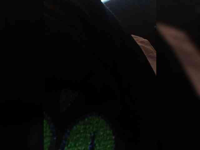 Cocochanell webcam