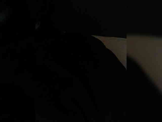 Cocochanell webcam