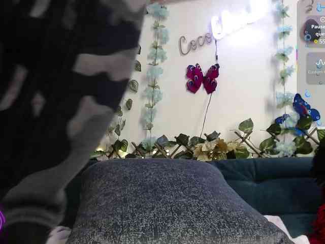 Cocochanell webcam
