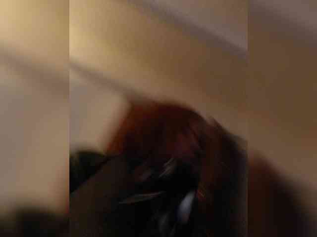 Cocochanell webcam