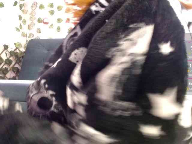 Duramapola Duramapola