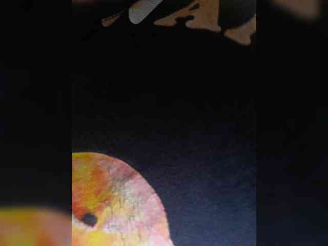 Cocochanell webcam