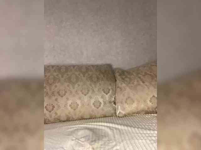 -ALLSAINT- webcam