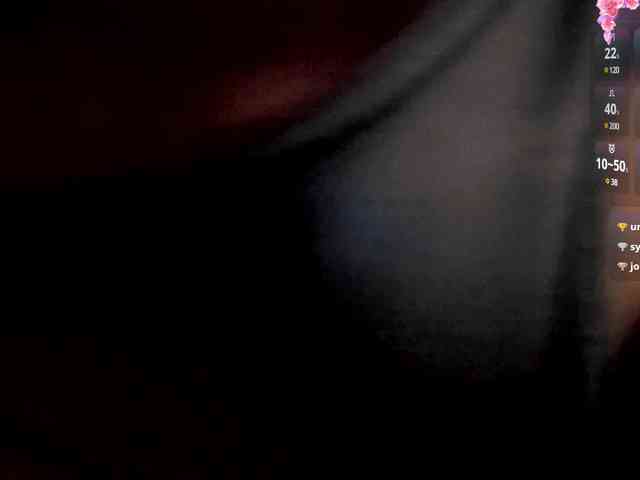 lindasnows webcam