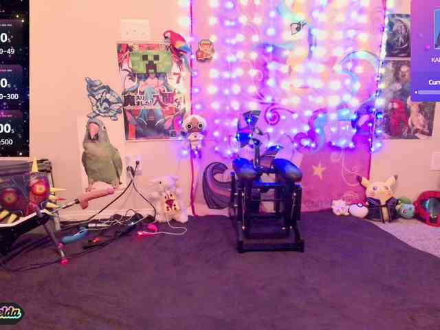 BabyZelda webcam