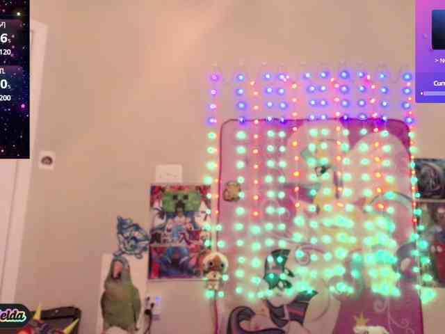 BabyZelda webcam