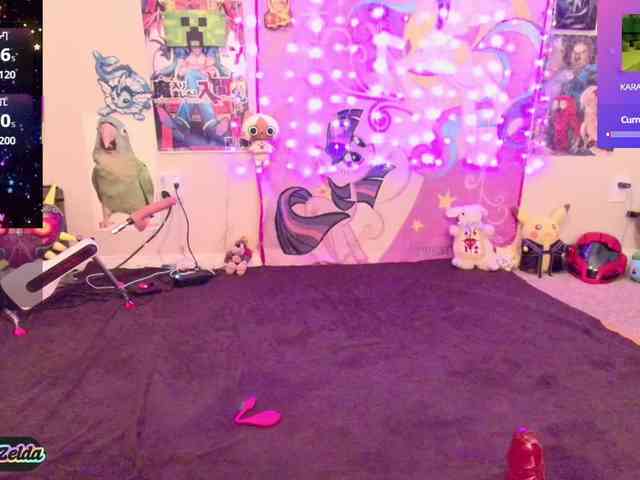 BabyZelda webcam