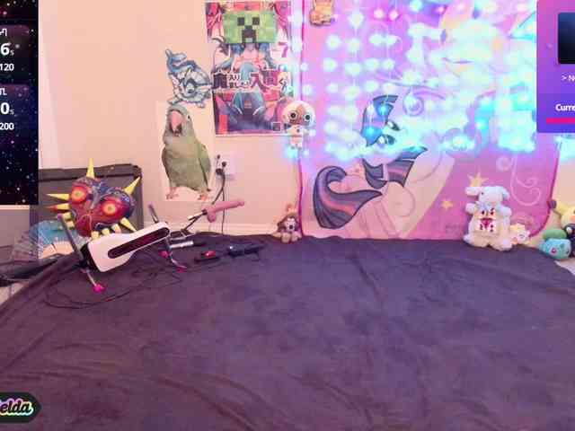 BabyZelda webcam