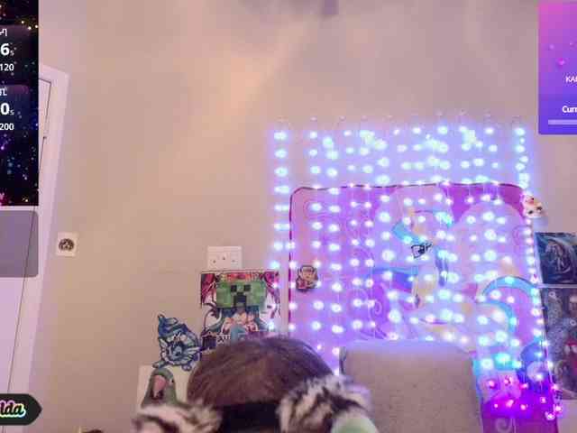 BabyZelda webcam