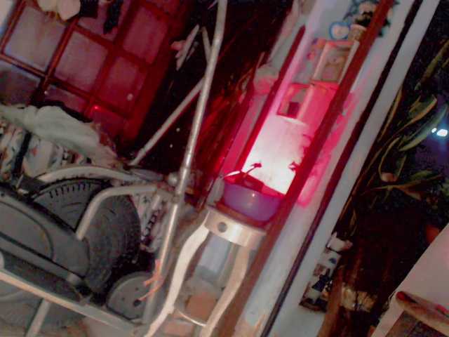 karolfox's BongaCams show and profile