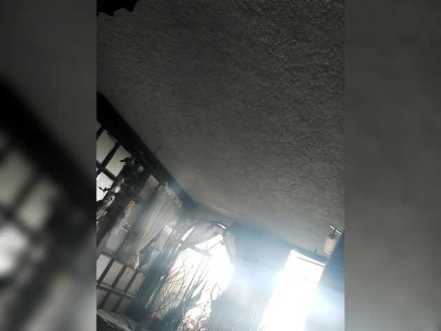 karolfox's BongaCams show and profile