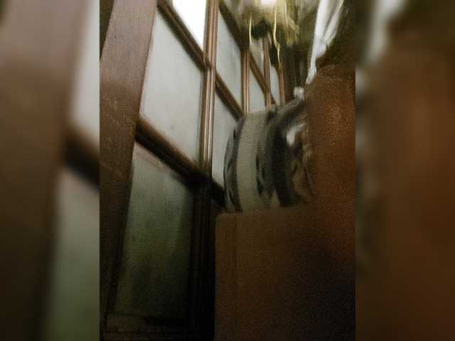 karolfox's BongaCams show and profile