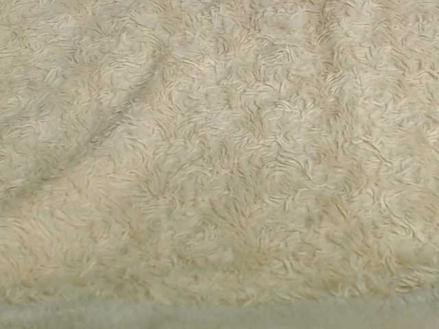 jasmin10000's BongaCams show and profile